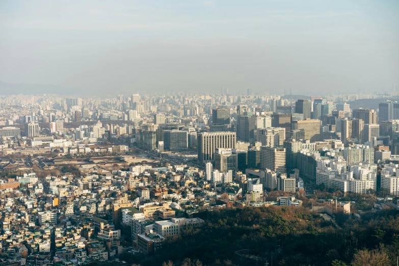 the cityscape in the daytime is very crowded