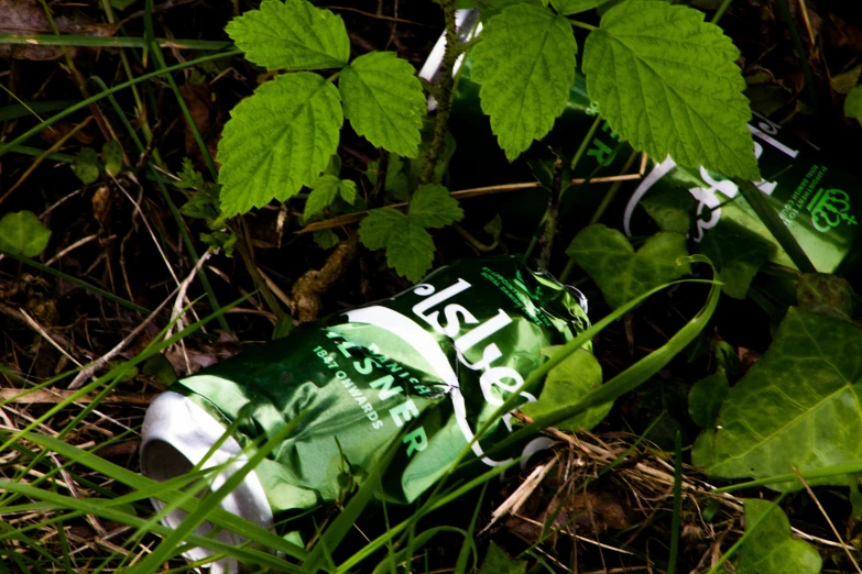 a bottle that is laying down in the grass
