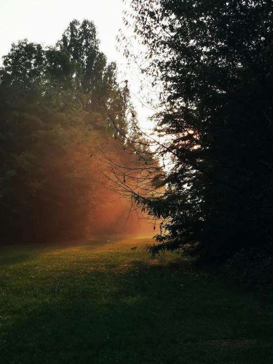 a park bench on a grassy field covered in trees