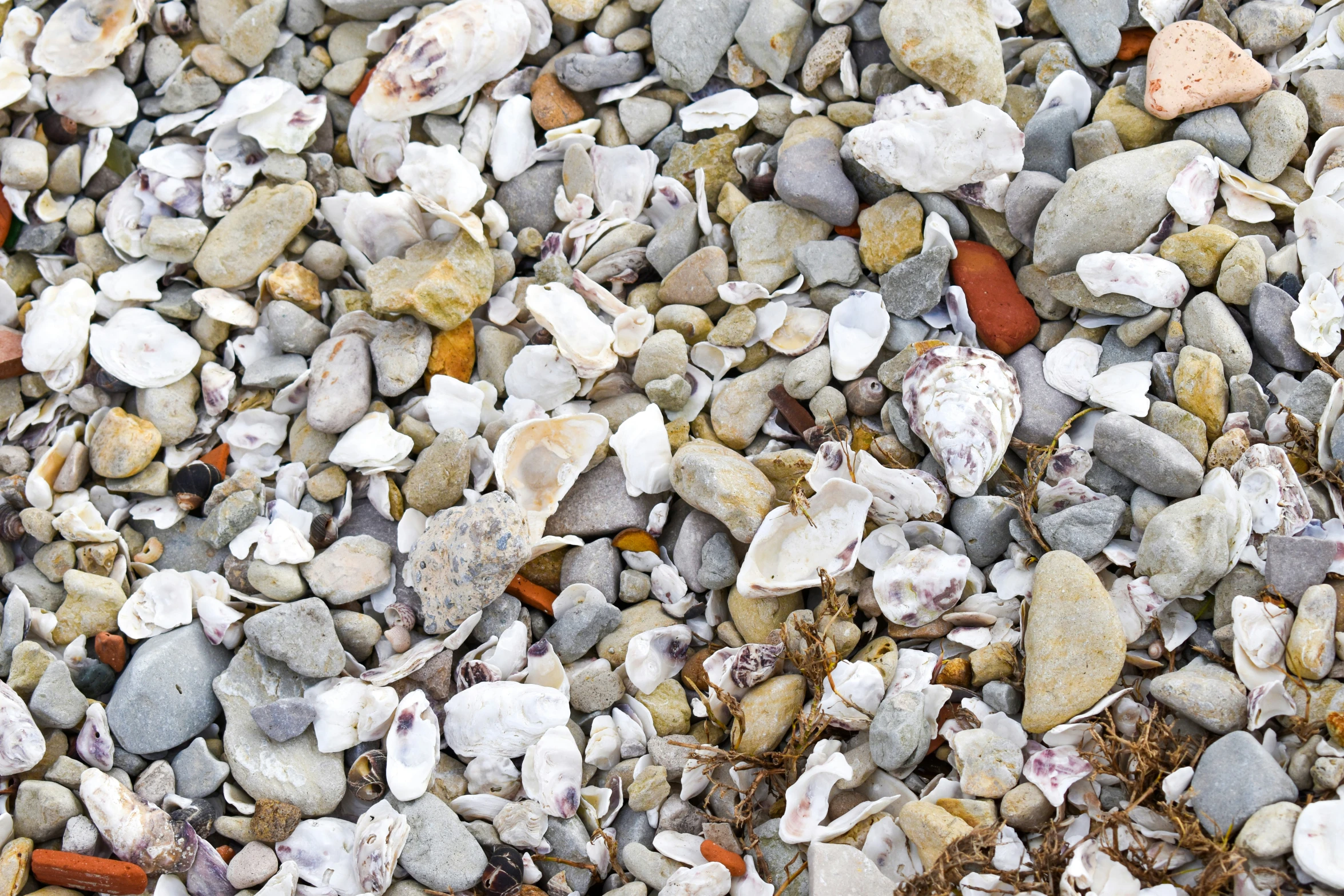 a pile of rocks sits on the ground