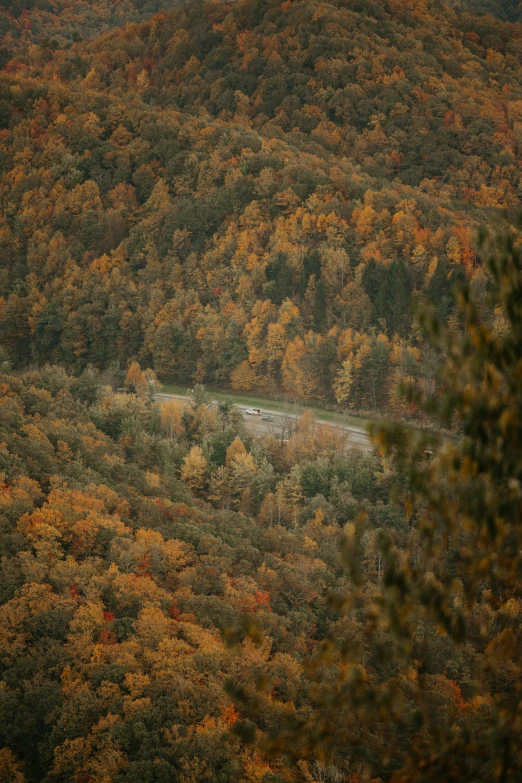 the road is on the side of the mountain