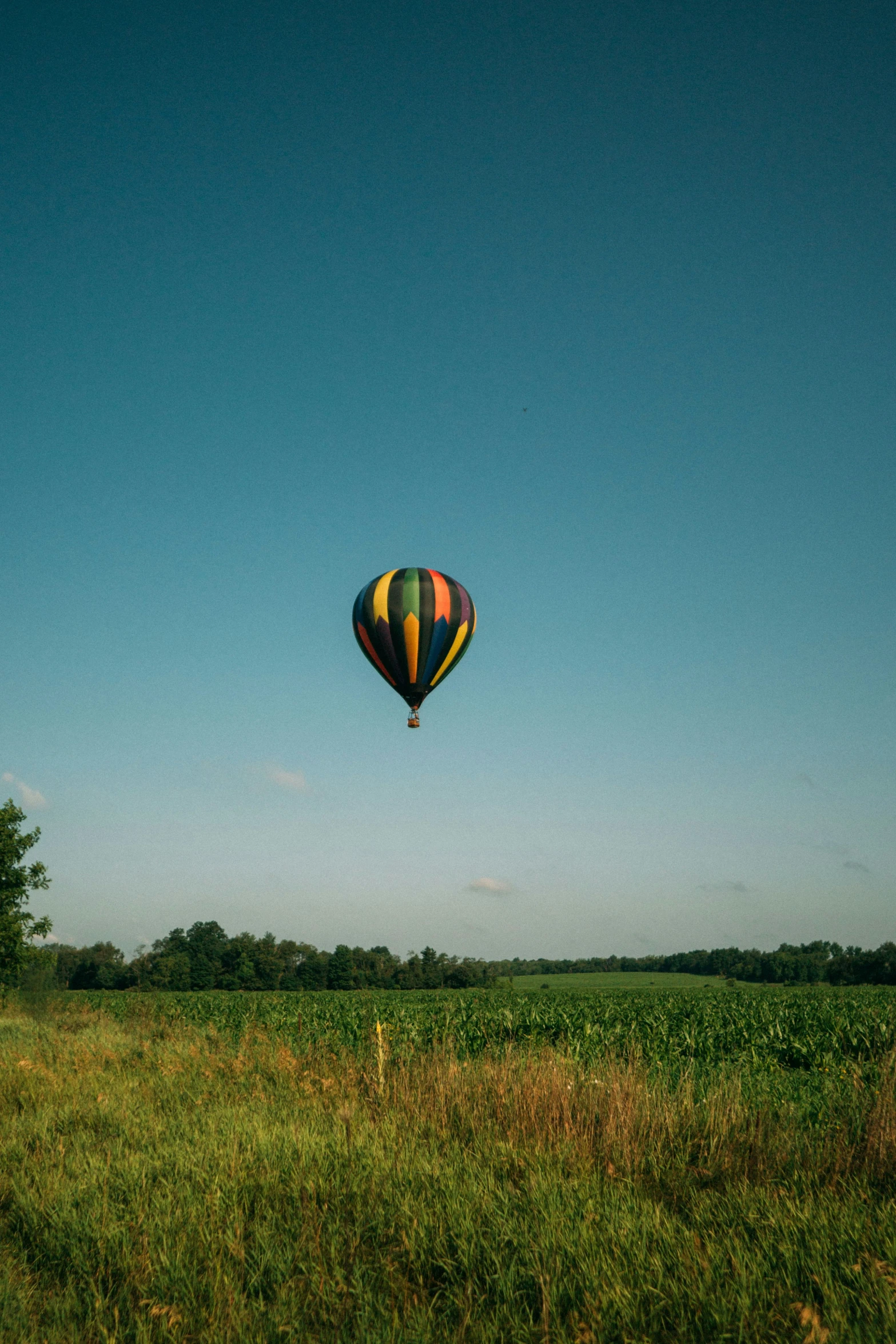 a balloon in the air near a field and trees