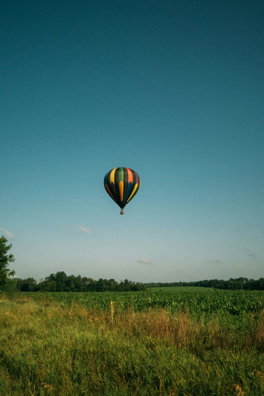 a balloon in the air near a field and trees