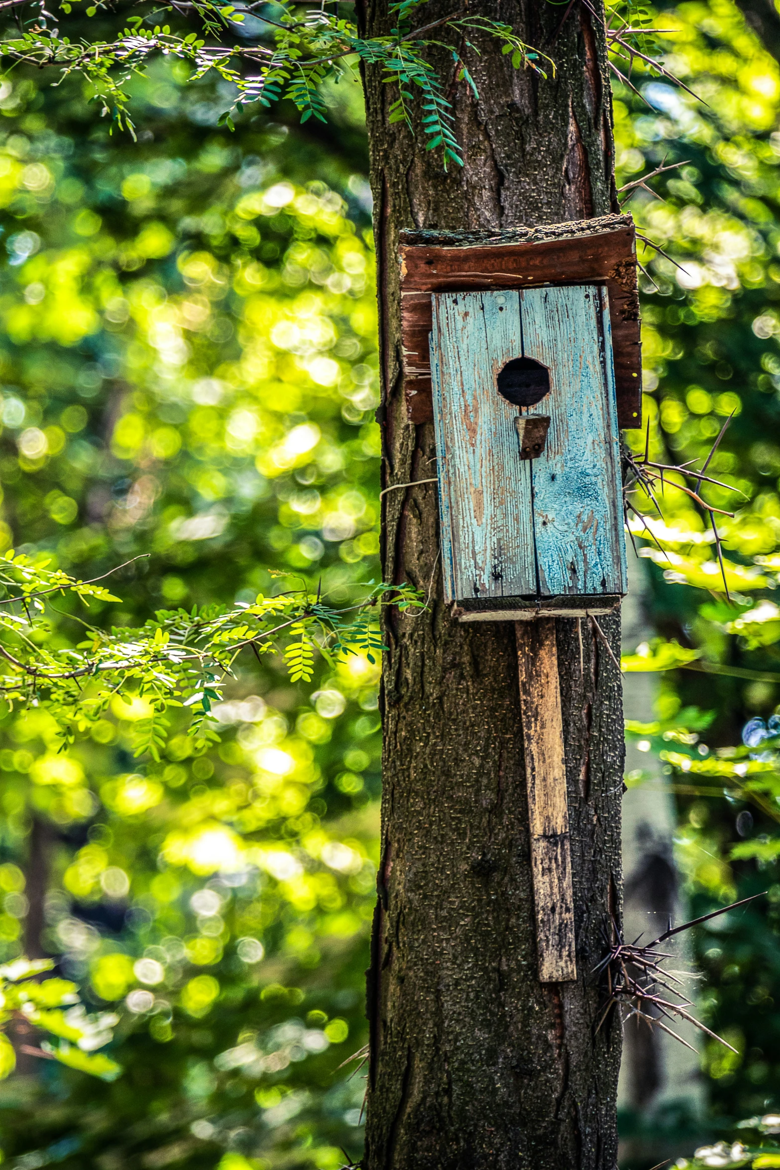 a bird house hanging on a tree in the woods