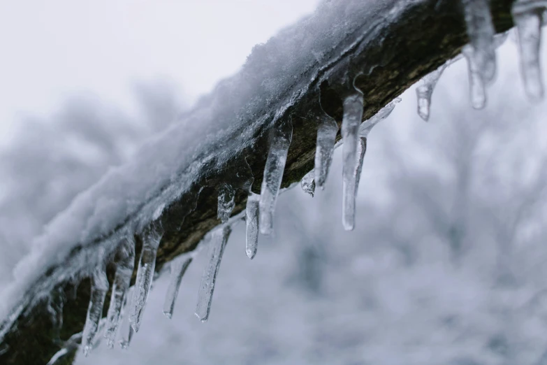 icicles are on the nch and hanging from it