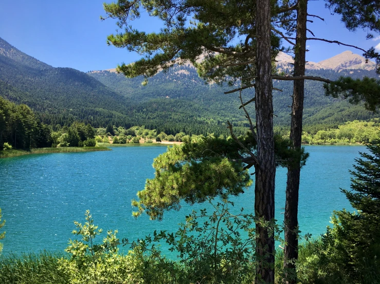 a very beautiful mountain lake with many trees