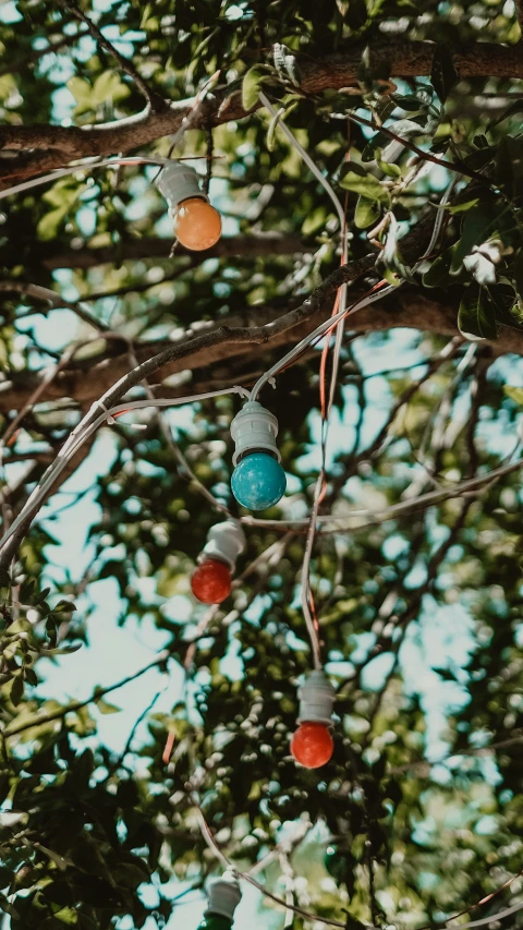 a tree has some glass balls hanging from it