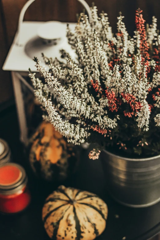 a tin can holds various flowers and some little pumpkins