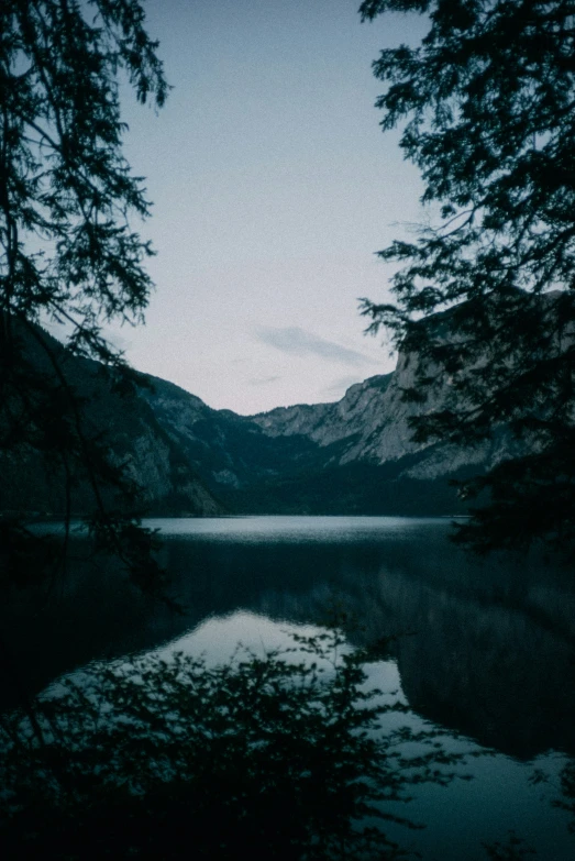 a body of water with trees on the shore of it