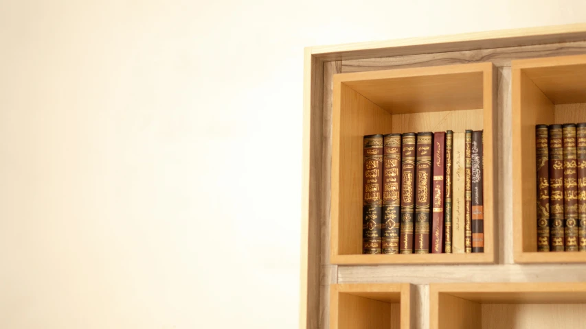 books and magazines on wooden shelves near white wall