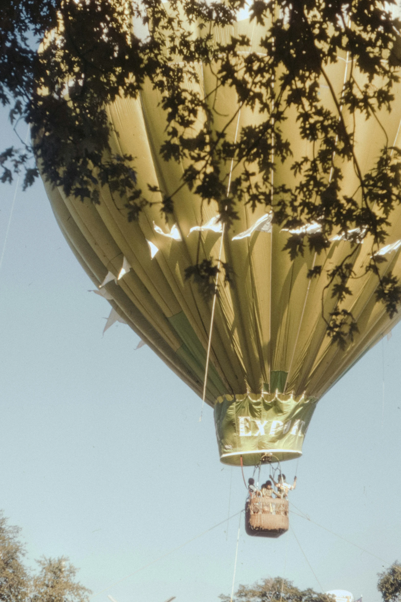 a view of an air balloon being flown in the sky