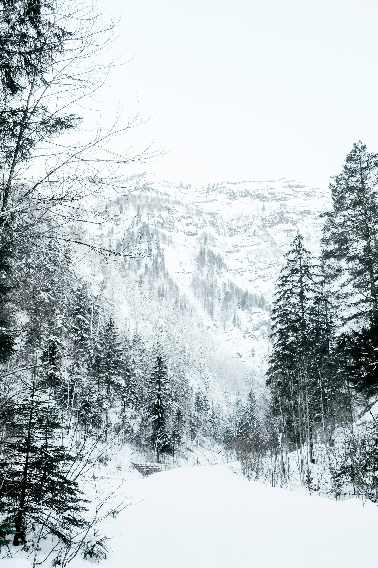 the snow - capped mountains have no one around to ski down