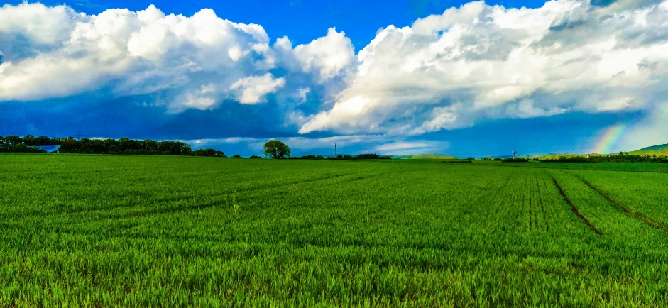 a field that has green grass in the middle