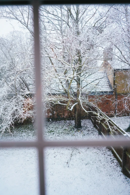 looking out of an open window, through to a snowy tree in the distance