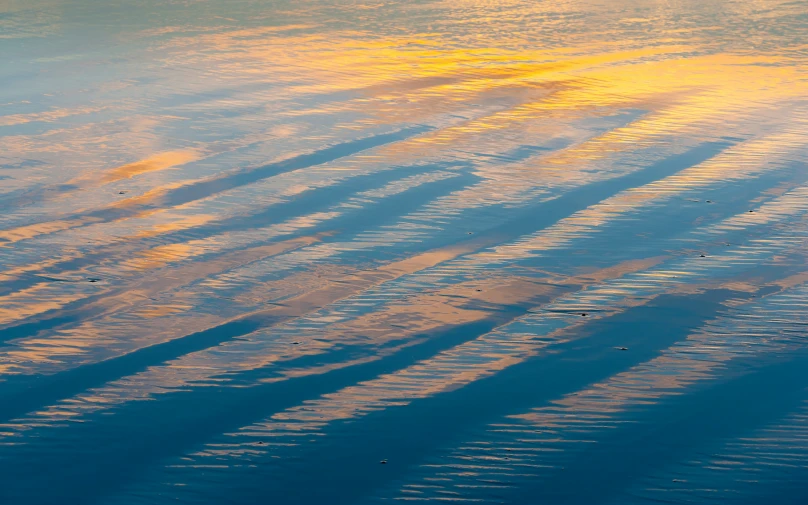 the sun reflecting off the water is seen here