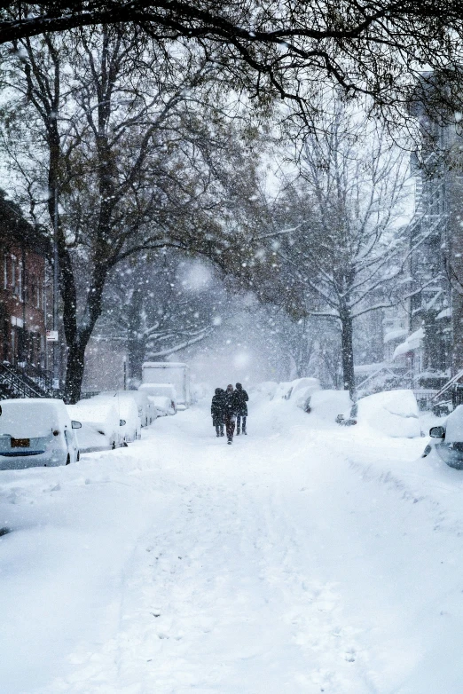 the picture is taken in the dark and snowy neighborhood