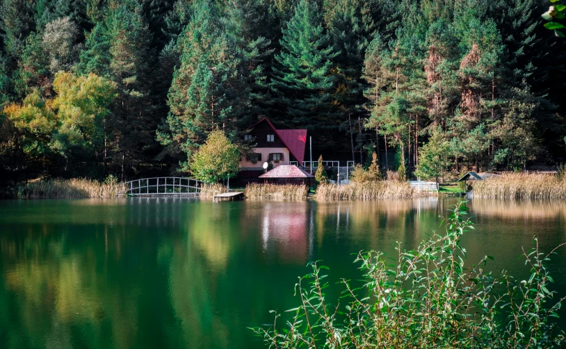 the boat is floating on the lake in the wilderness