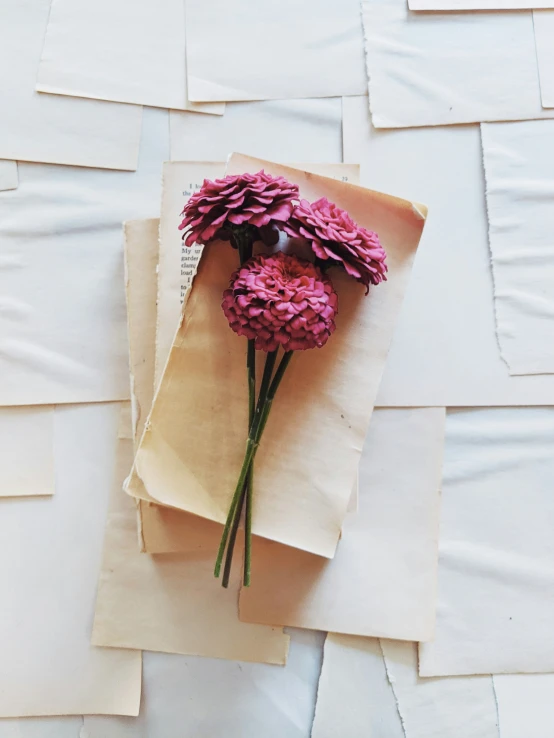 a bouquet of pink flowers sit on top of a piece of paper