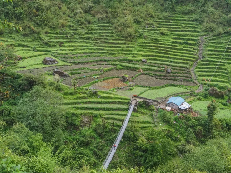 a large green hillside has a small farm with stairs