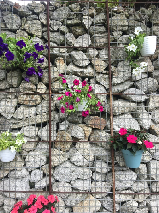 a group of plants with pink and purple flowers growing out of them are placed on a pile of rocks