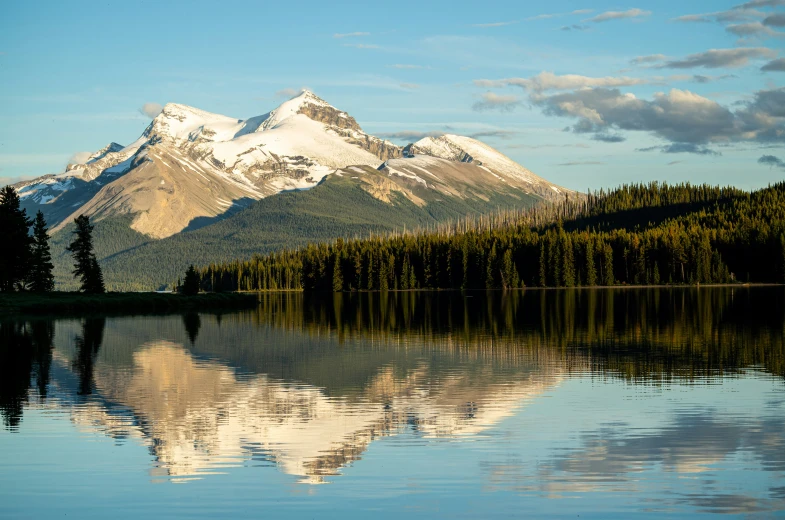 trees and mountains reflected in calm lake surrounded by pine forest