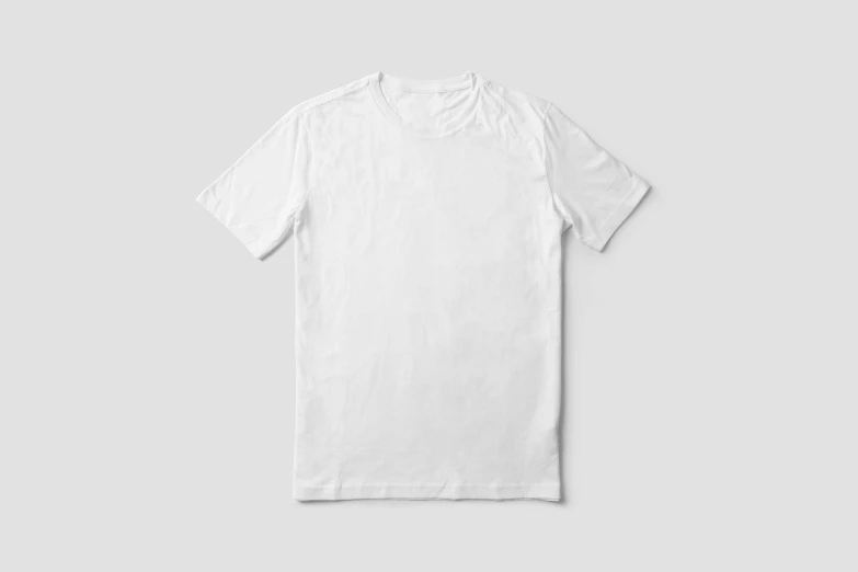 a white t - shirt from a men's clothing line