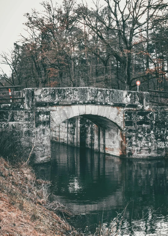 a bridge over a body of water in a wooded area