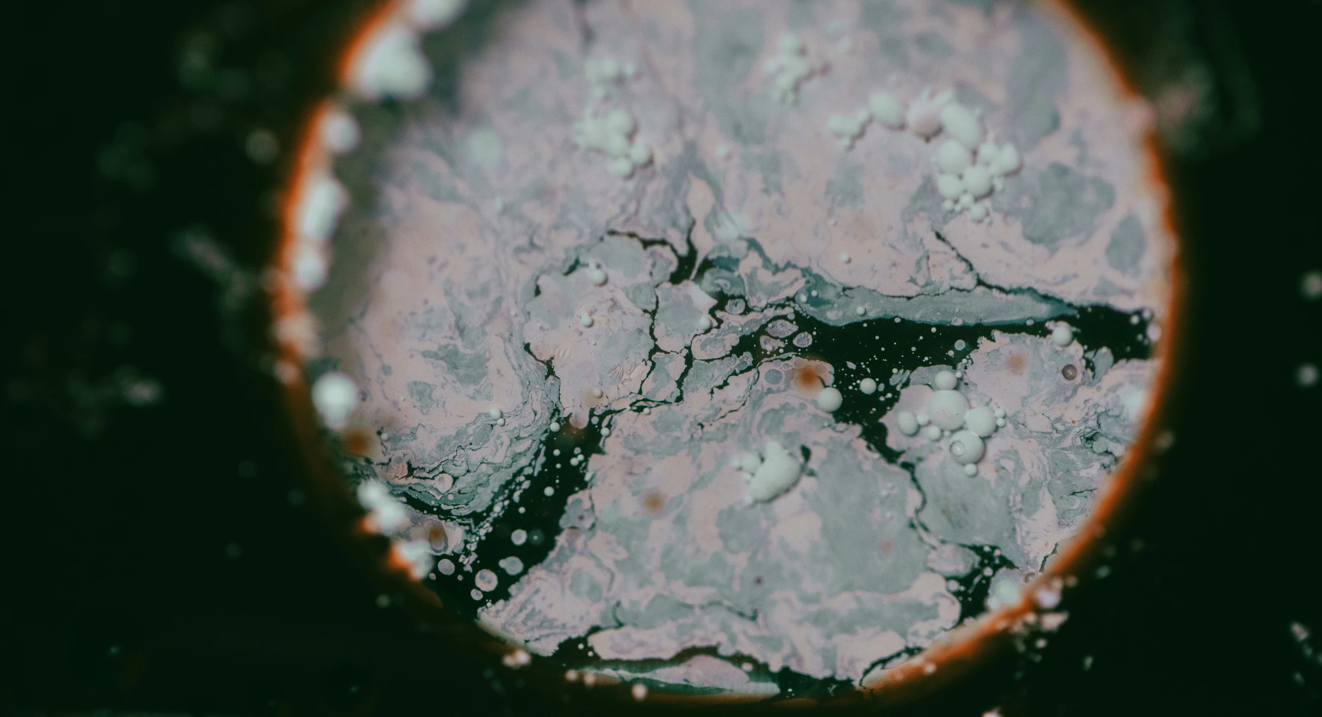 a white and orange substance is visible through the microscope glass