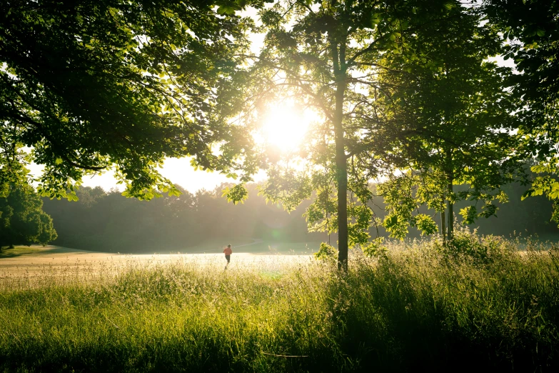 an image of someone running through a park