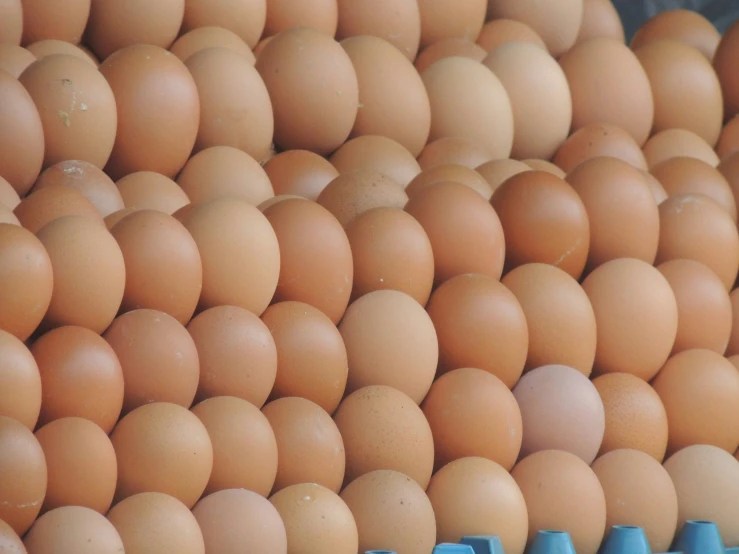 an image of a big pile of eggs