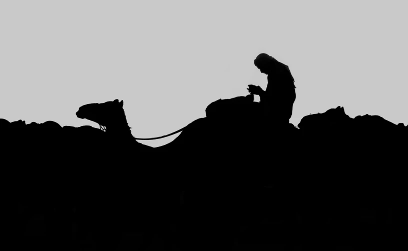 a silhouette of a person on a horse riding