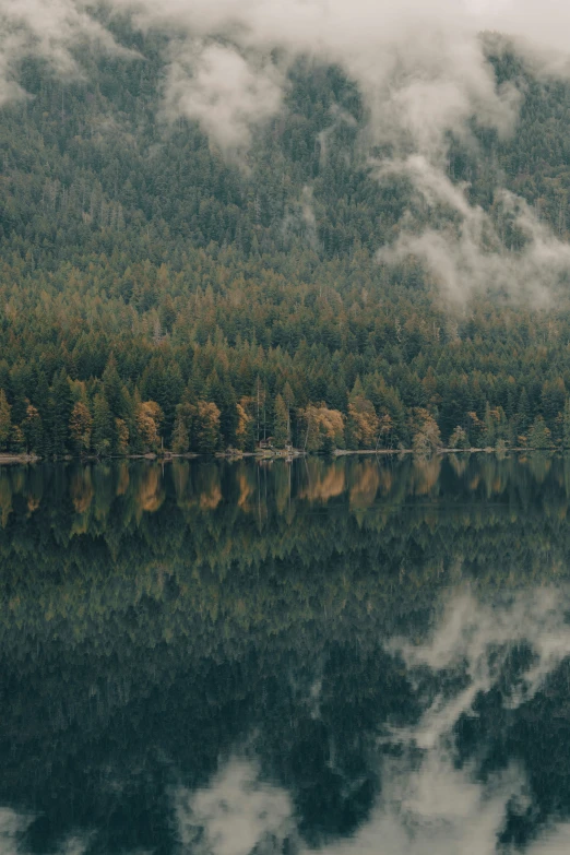 a lake in the middle of an evergreen forest surrounded by fog