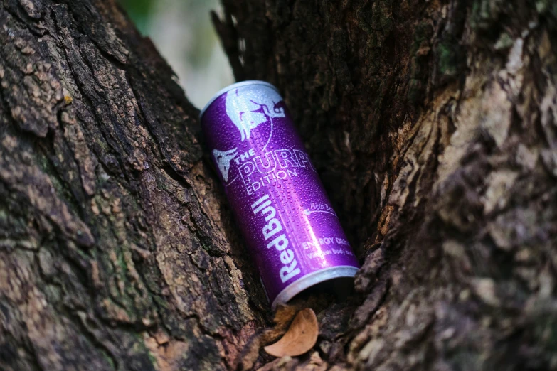 a beer can is nestled in the base of a tree