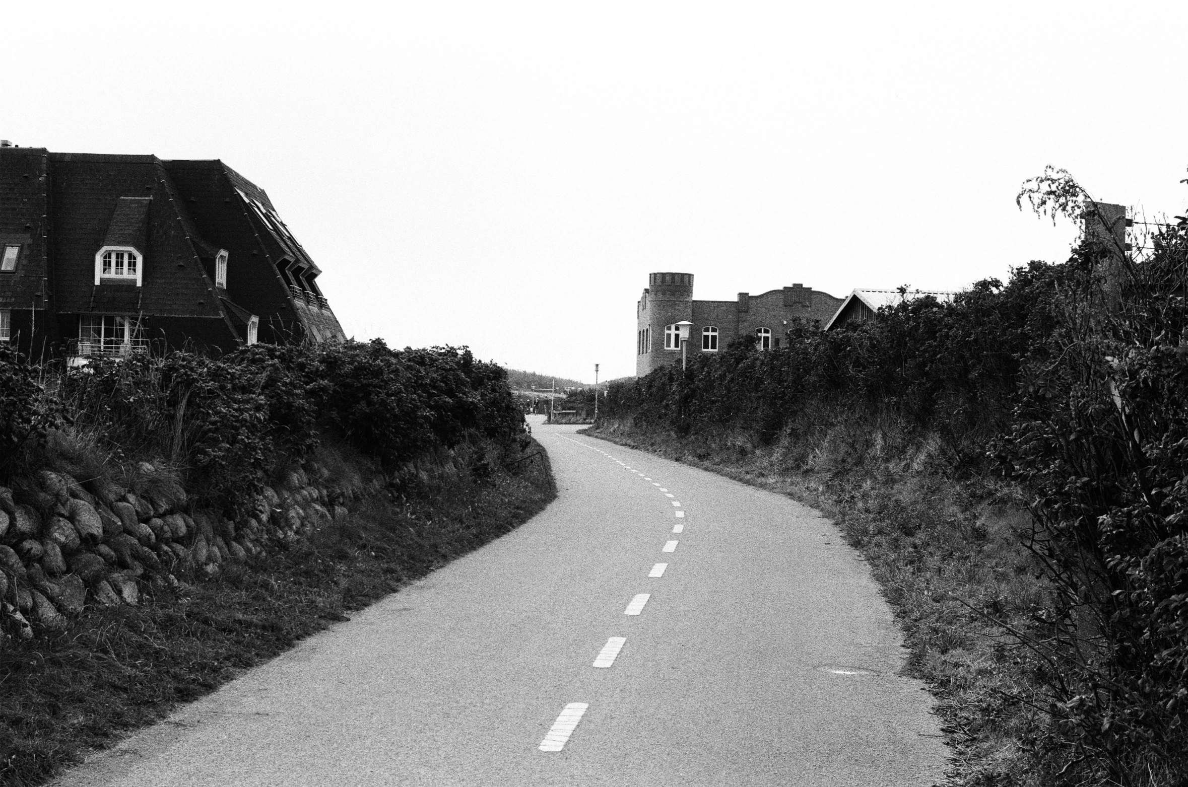 a narrow, straight street is shown through trees