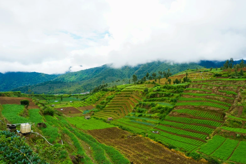 green fields in the mountains and a truck on the side