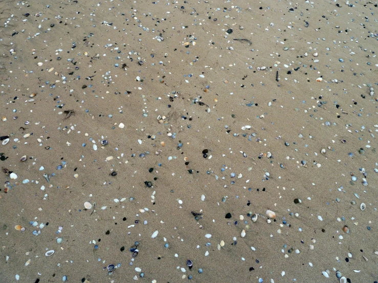 the ground covered in sea glass and other sea glass