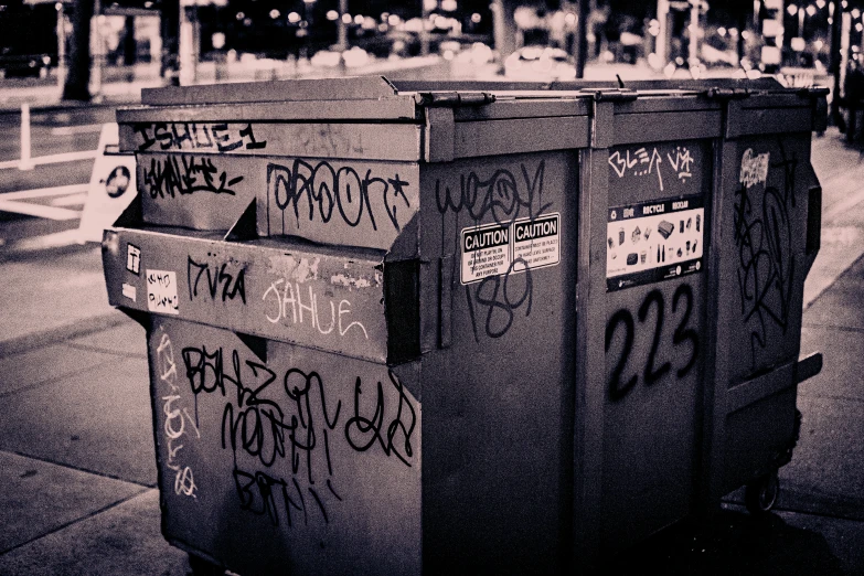 a black and white image of two garbage cans on the street