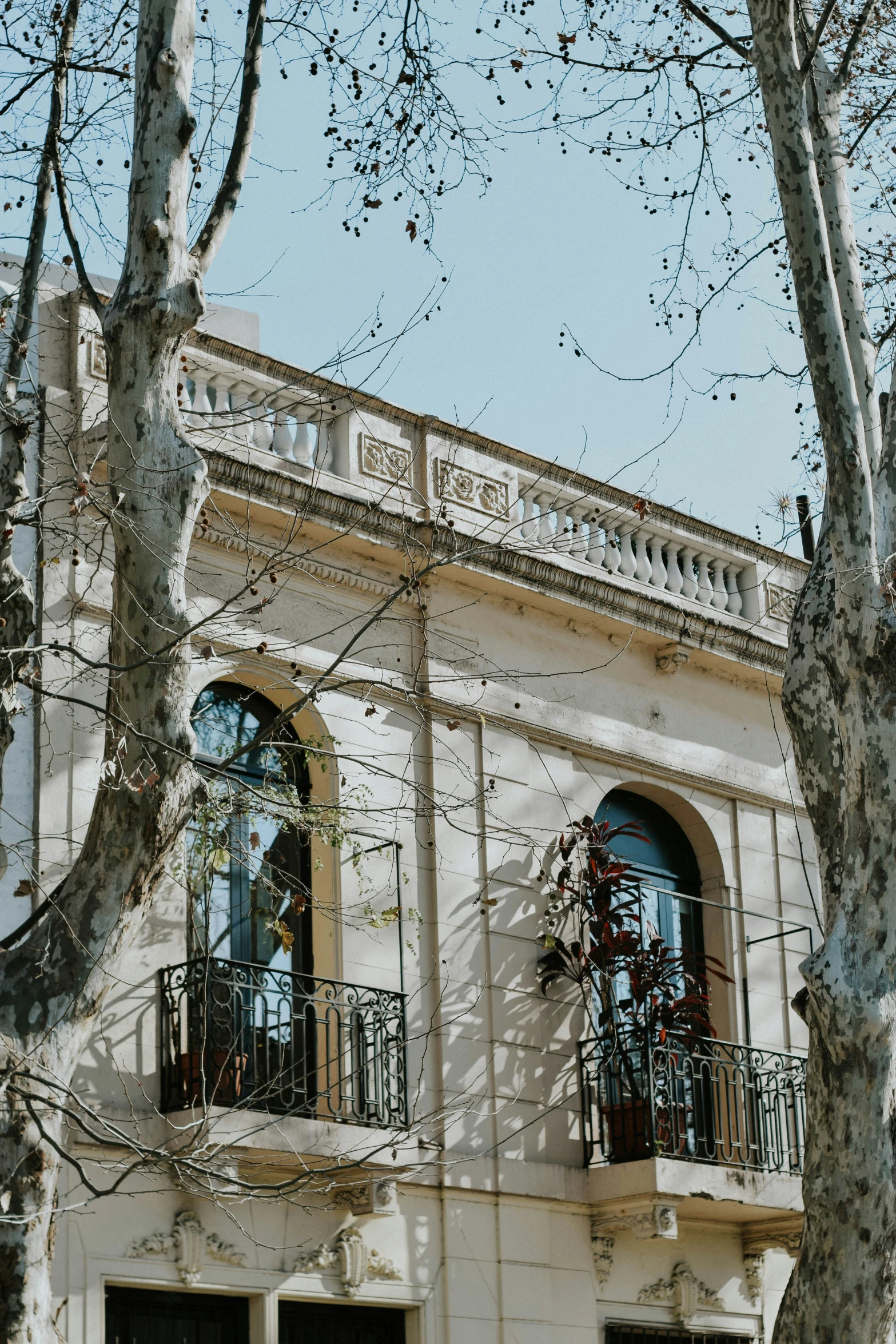 a couple of trees and buildings on a street