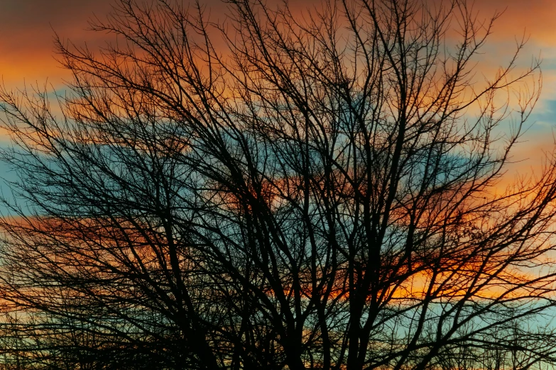 a bird perched on a bird feeder at sunset