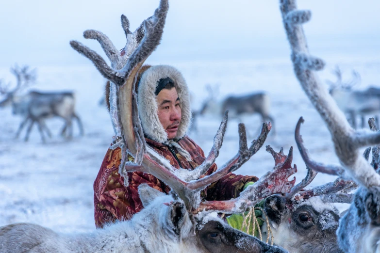 man with antlers on an open field in the snow