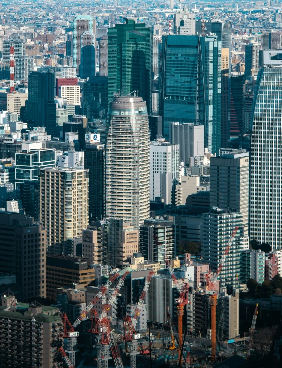 a city skyline shows tall buildings, cranes and a crane