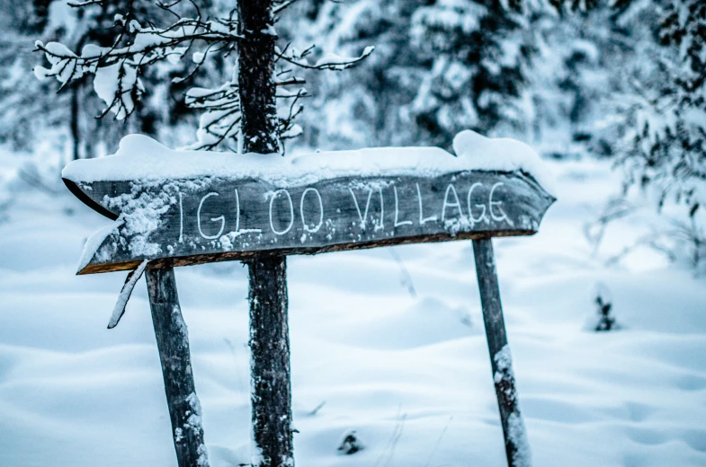 a wooden sign pointing to a forest covered with snow