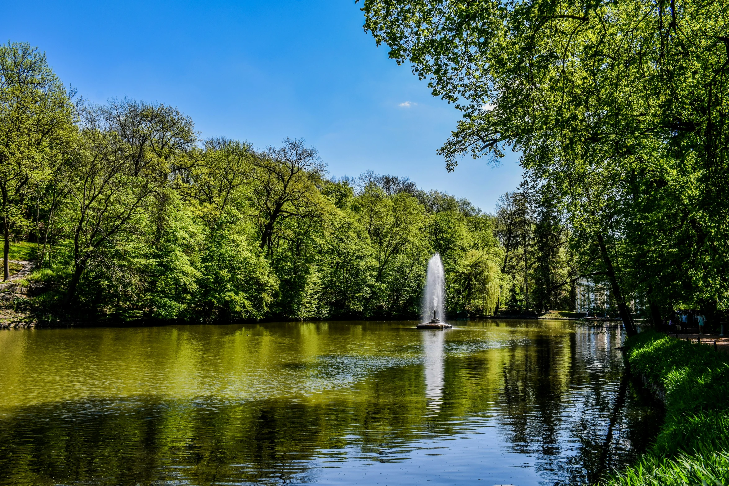 a pond surrounded by trees and bushes is reflecting its water