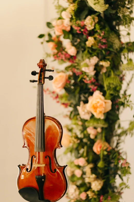 a violin on display with flowers and foliage