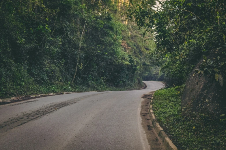 an empty street in the middle of a forest