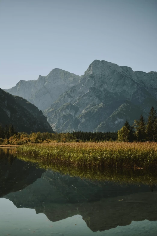 a lake with grass and some trees in the background