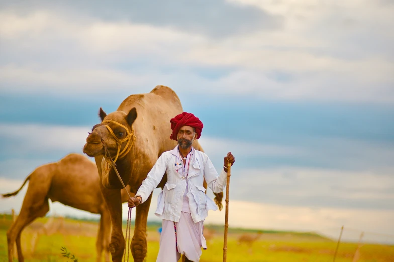 man standing in grass next to a camel