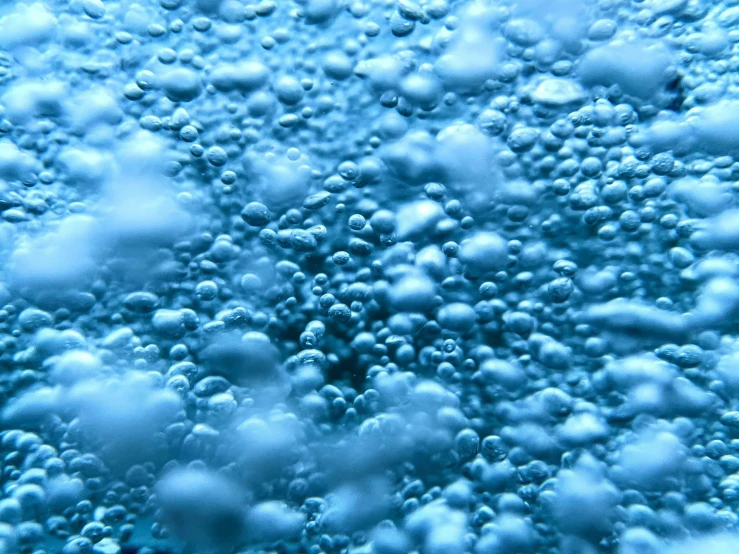 an extreme closeup of soap bubbles in water