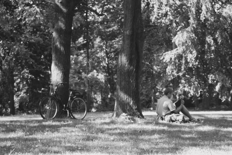 two people sit under a large group of trees