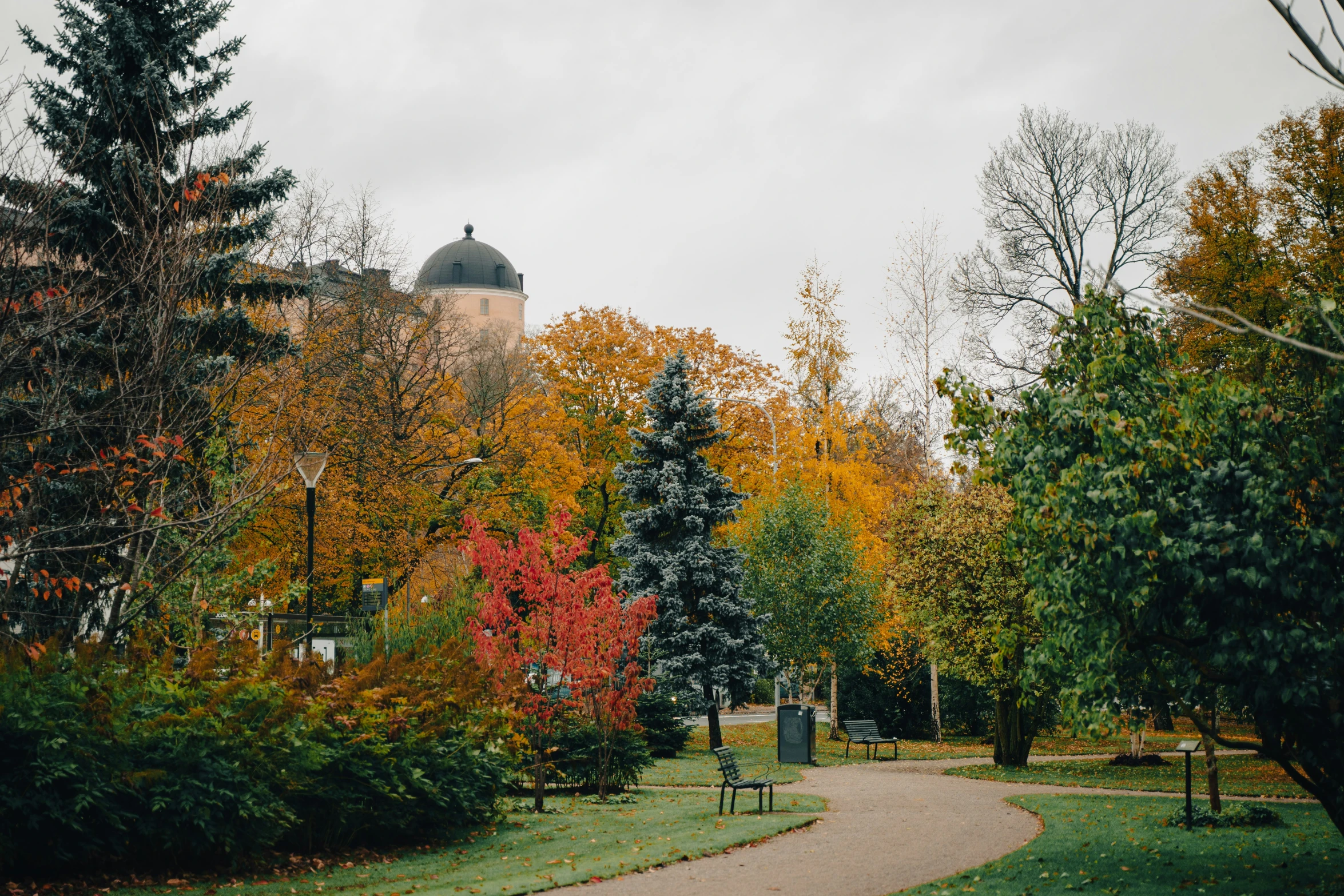 colorful trees with bright orange and yellow leaves in fall